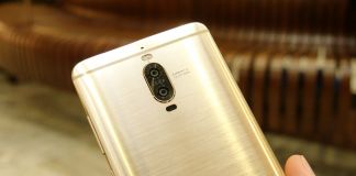 Flaggskepp kan nå 8 000 kronor som snittpris i år flaggskepp