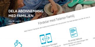 Är familjeabonnemang verkligen billigare?